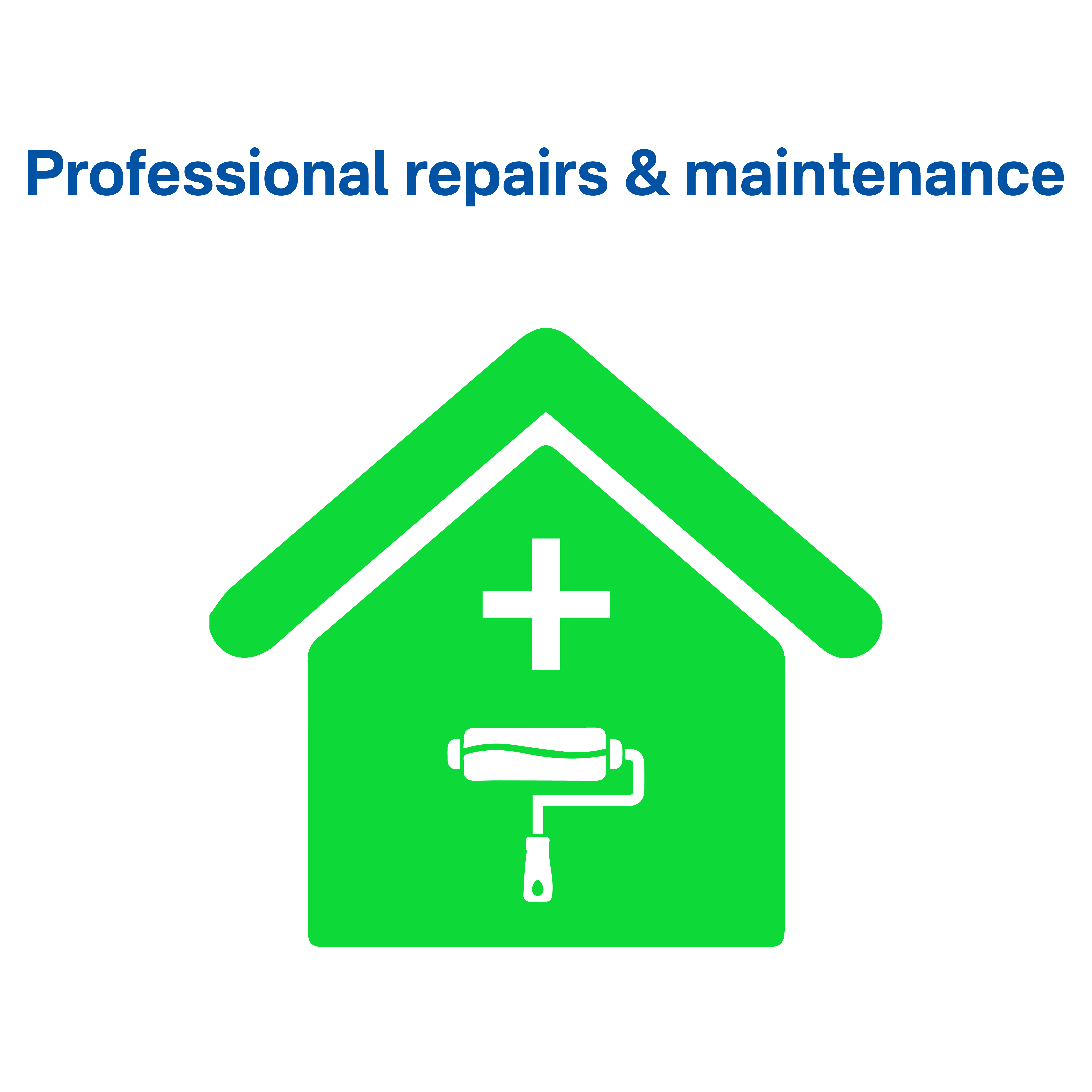 Professional repairs & maintenance